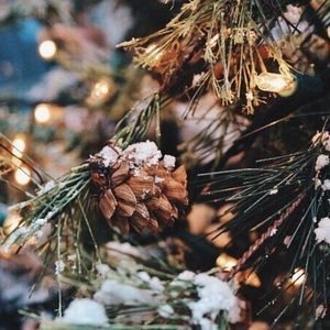 Meet your Posher, Tiffiny